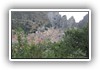 san_gerardo_di_maiella_(av)_-_2011__(55)